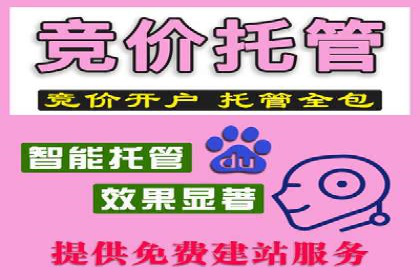某电商企业如何利用百度搜索推广提升销售额